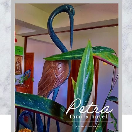 פטריך Petra Hotel מראה חיצוני תמונה