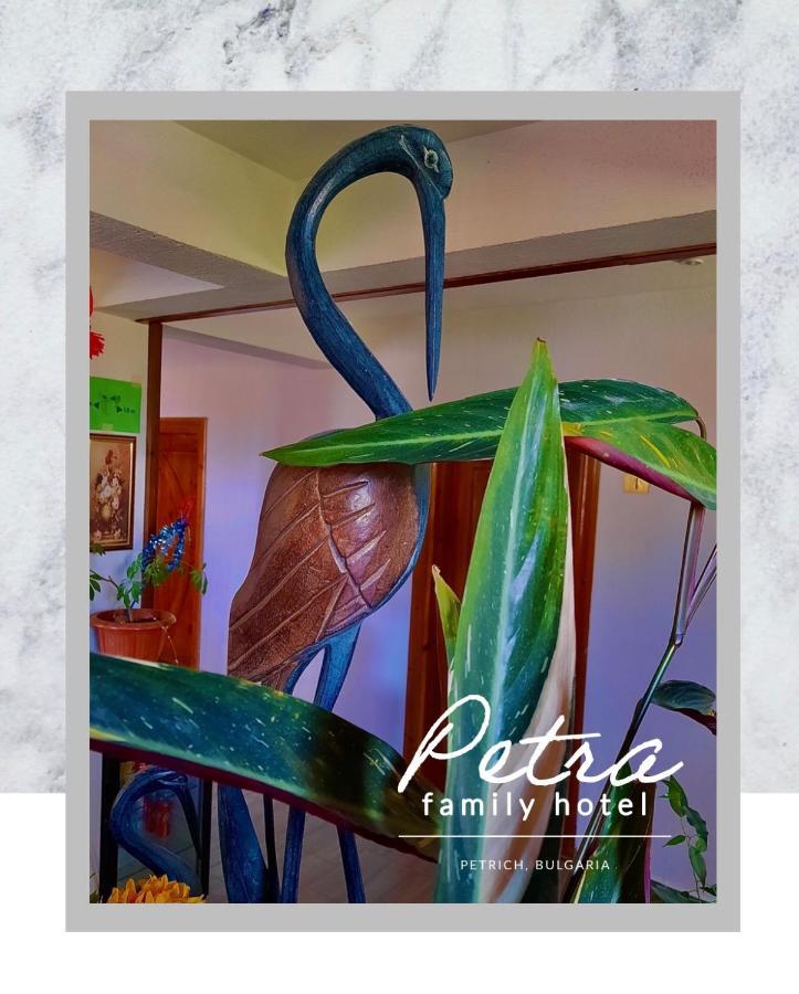פטריך Petra Hotel מראה חיצוני תמונה